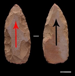 Herramienta lítica tallada por un experto