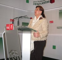 PSOE-A, convencido de que PP-A quiere que la juez del caso de los ERE haga una "causa general" contra los socialistas