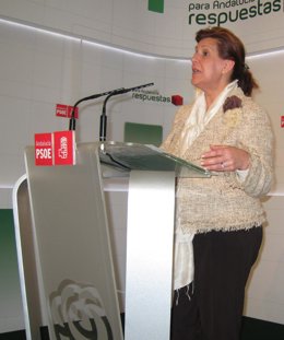 Rosa Torres, este lunes en rueda de prensa