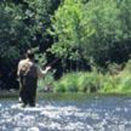 Pesca en un río madrileño