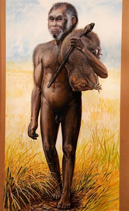 Dibujo sobre la evolución del ser humano