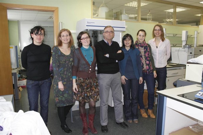 Equipo investigación castaña