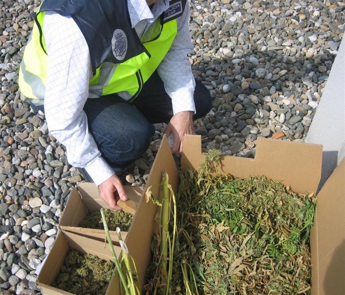 29 03 2011 Nota De Prensa + Foto