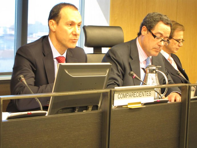 Vicepresidente de la Asociación Española de Promotores de Vivienda y Suelo (AVS)