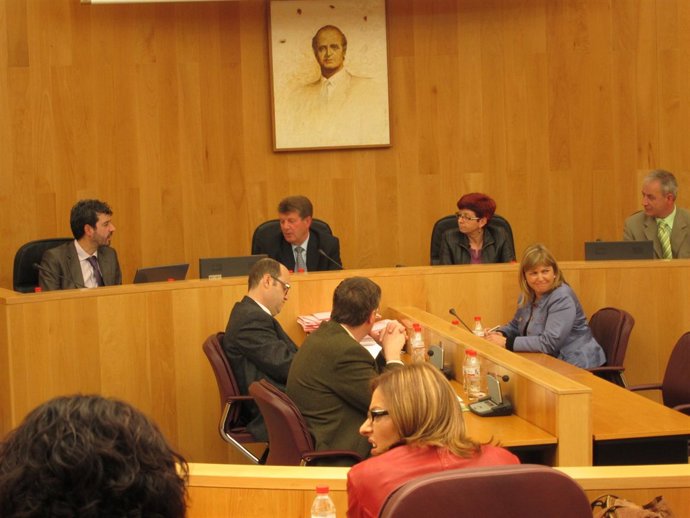 Pleno ordinario en la Diputación Provincial de Granada