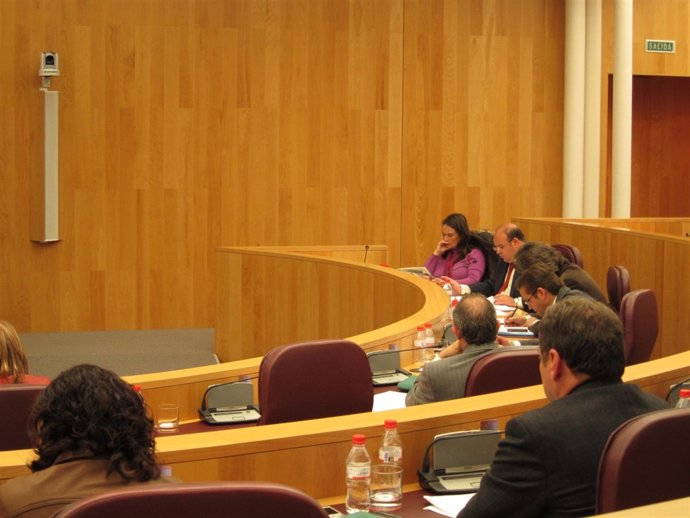 Sesión del pleno de la Diputación el 29 de marzo de 2011