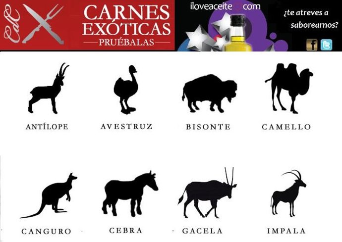 Publicidad del maridaje de carnes exóticas y aceite de oliva virgen extra de Jaé