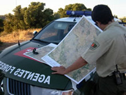 Agentes Forestales de la Comunidad de Madrid