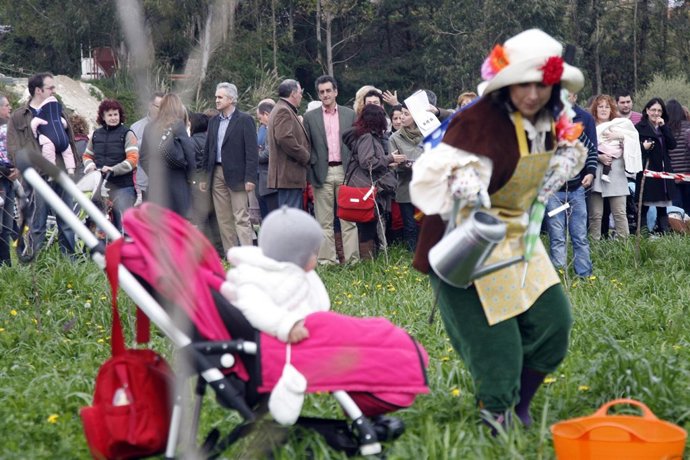 Bosque Cantabria Futura