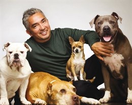 Cesar Millan, encantador de perros