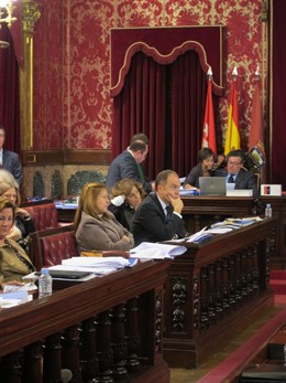 Bravo durante su intervención en el Pleno