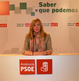NP PSOE Motril Crisis De Gobierno Tras Dimisión Teniente Alcalde Villoslada