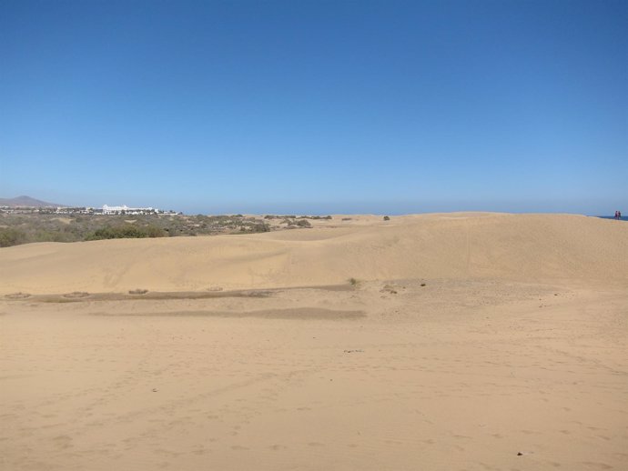 Dunas de Maspalomas, en San Bartolomé de Tirajana (Gran Canaria)