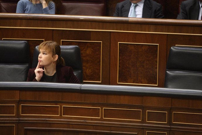 Leire Pajín en el Congreso