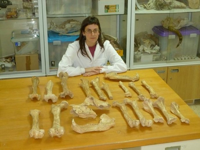 El estudio está liderado por Raquel Rabal