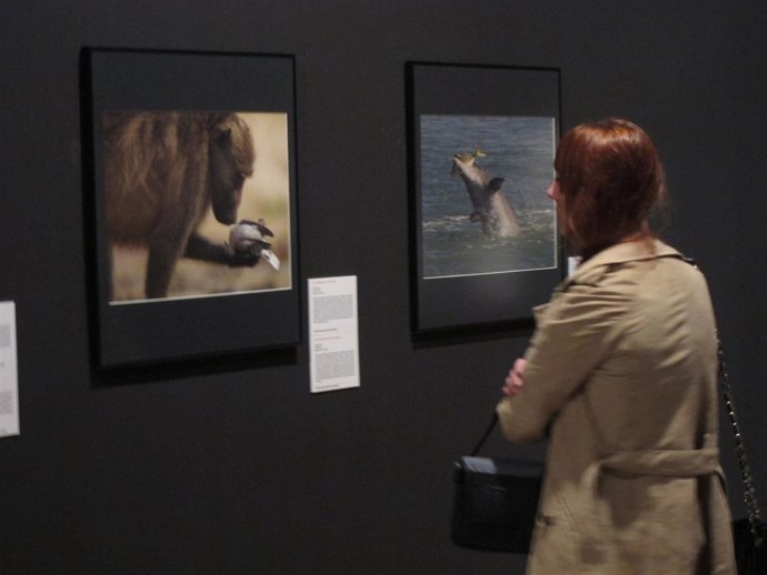 Exposición del concurso de fotografía sobre naturaleza.