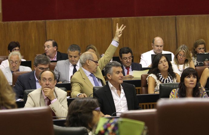 Imagen de la votación en el Pleno del Parlamento