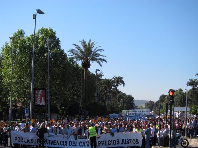 La manifestación a su paso por  la Avenida Conde de Vallellano de Córdoba
