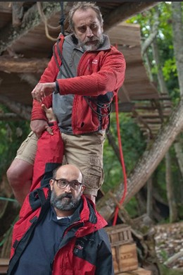 Para qué sirve un Oso