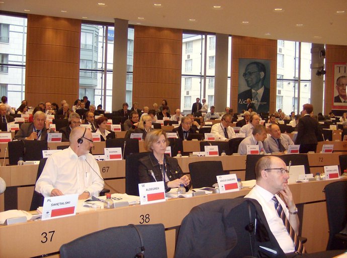 Araújo en el Comité de Regiones