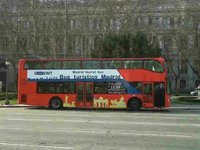 IU llevará a la Comisión de Vigilancia de las Contrataciones la adjudicación a Juliá-Alsa de los buses turísticos