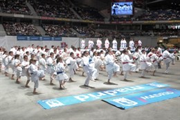Exhibición de karate