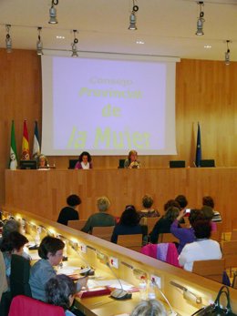 La diputada de Igualdad y Participación Ciudadana, Paloma Alonsa, es la presiden