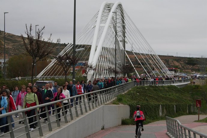 Los participantes han recorrido los puentes del Ebro