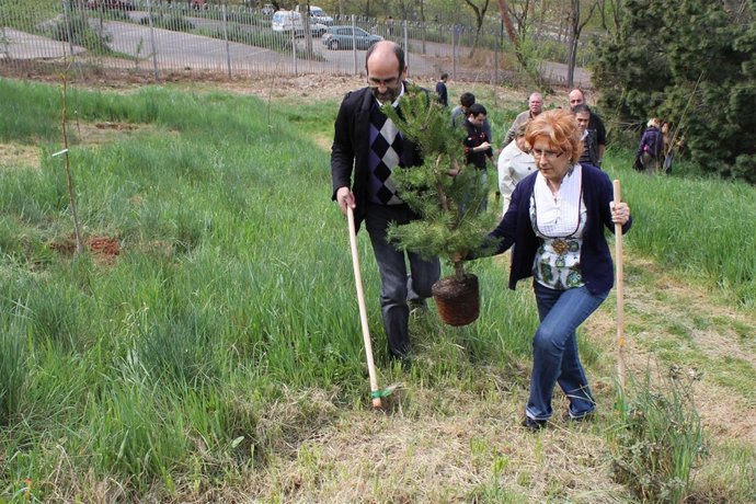 Parque del Príncipe
