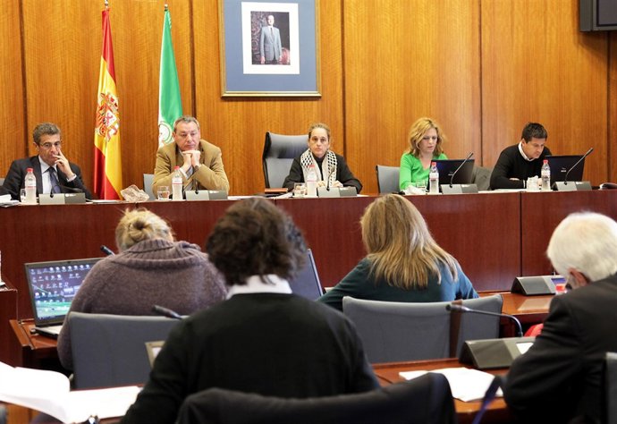 Imagen de la última comisión de Educación