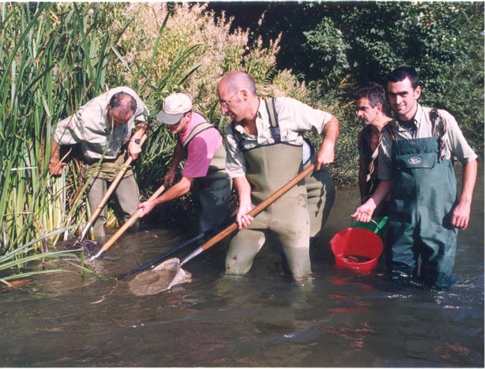 Pesca en un río navarro.