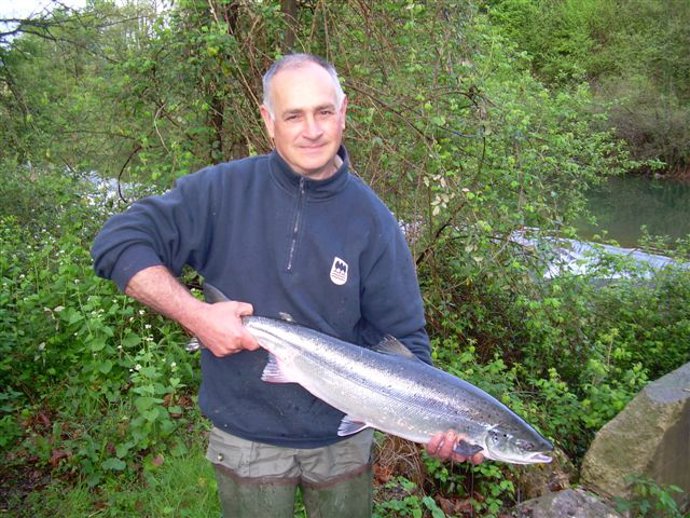 Primer salmón del año en el Urumea.