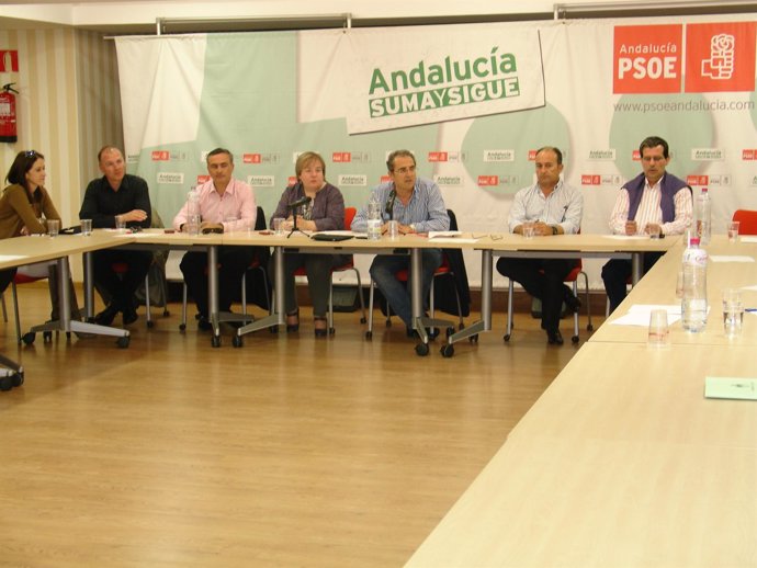 Reunión de la ejecutiva provincial del PSOE 
