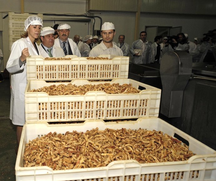 Cospedal en fábrica en Tendilla