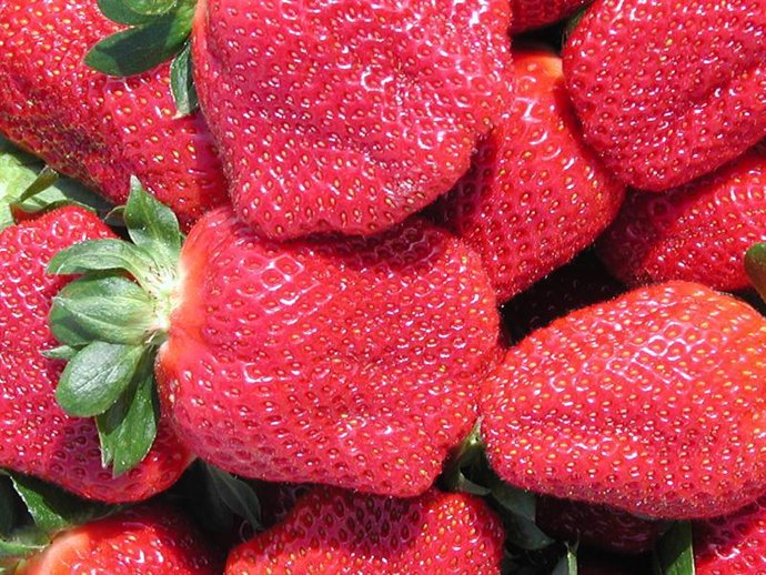 Fresas, fruta 