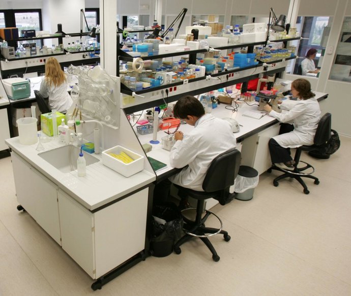 BNP Paribas y el CIMA realizan un estudio sobre el cáncer de hígado.