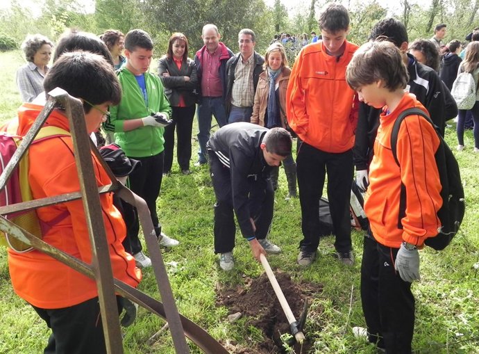 Plantación de árboles en Alagón
