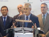 Griñán dice que entregarán las actas reclamadas por la juez Alaya "cuando toque" y que él "sí confía en la Justicia"