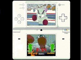 Animal Boxing para Nintendo DS