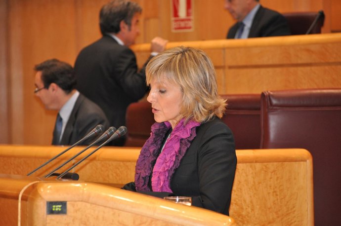 La senadora de UPN María Caballdero.