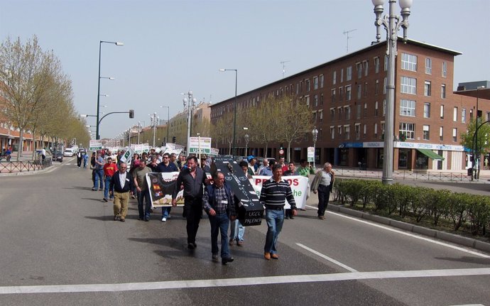 Manifestación de ganaderos de ovino-caprino en Valladolid.