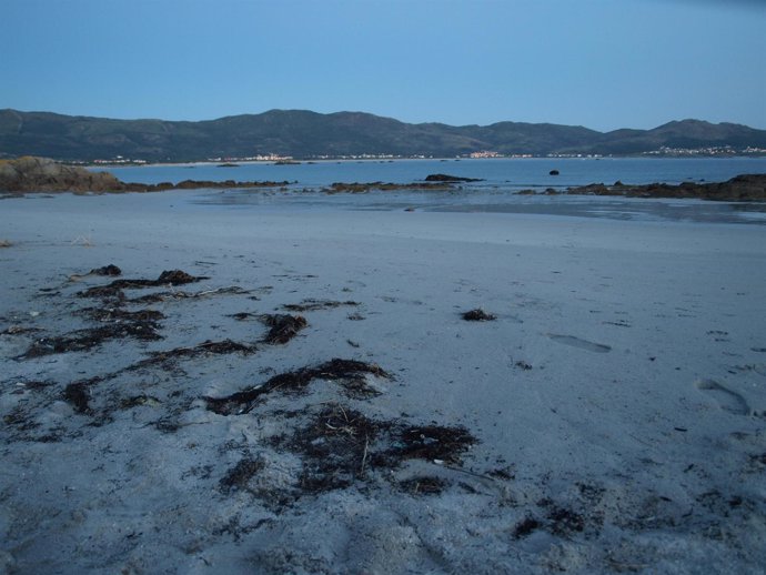 Playas y costas de A Coruña