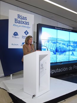 Vicepresidenta de la Diputación de Pontevedra, Teresa Pedrosa