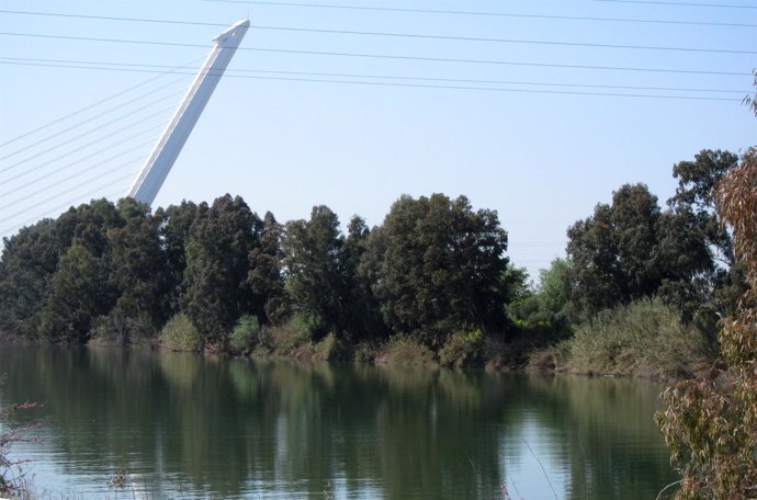 Dársena del río Guadalquivir en Sevilla