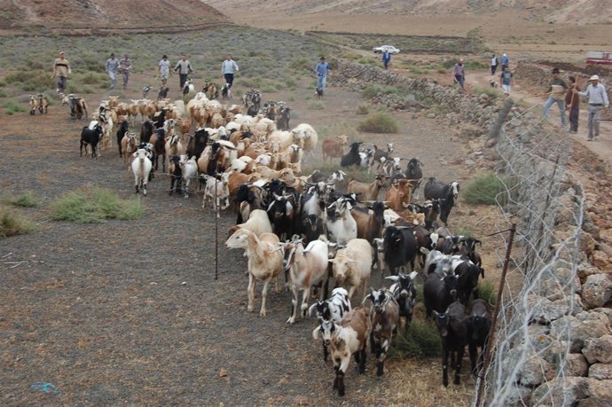 NP Cabildo Lanzarote: Agricultura Ofrece Una Charla Sobre Las Condiciones Sanita