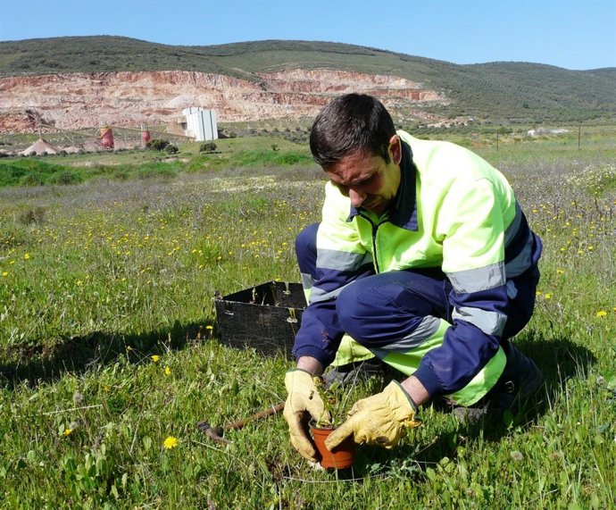 NP Cementos Balboa Cesión Orquídeas Para Los Barruecos