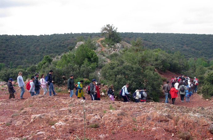 senderismo, ruta, caminar