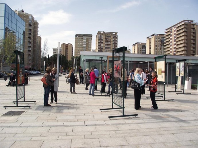 Exposición Árboles Artistas