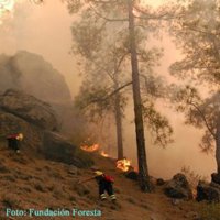 Detenida una vecina de Ribeira (A Coruña) por un incendio forestal y 4 imputados por otro en Meaño (Pontevedra)