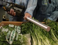La UE acuerda controles más estrictos para detectar radiación en alimentos procedentes de Japón